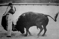 Silverio Pérez  faena de tanguito