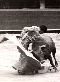 Silverio Pérez  Vida Taurina