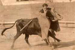 Silverio Pérez Vida Taurina