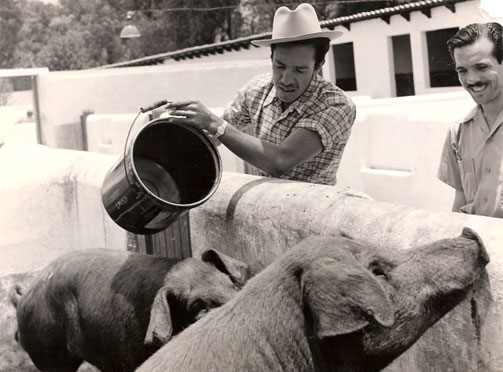Vida de Trabajo, la granja